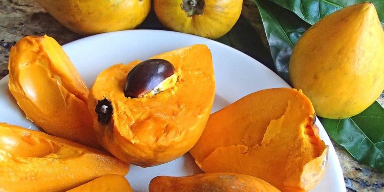 “فاكهة البيض” في أرض اللبان.. تجربة تثير الفضول فهل جرّبت طعمها؟