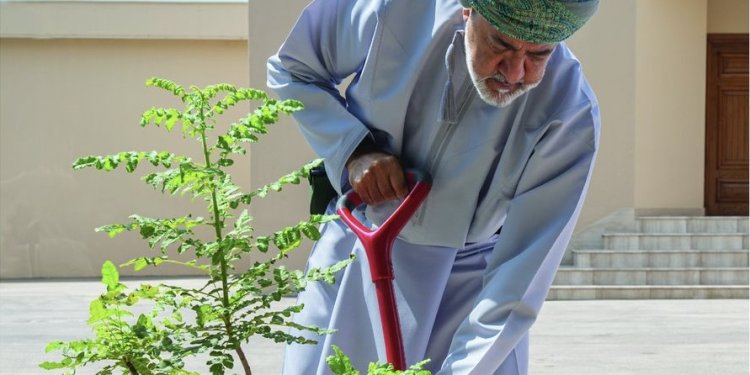 بعد افتتاحها للزوار… هل تعلم أن في «مزرعة رزات» شجرة لبان غرسها السلطان بيده؟