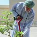 بعد افتتاحها للزوار… هل تعلم أن في «مزرعة رزات» شجرة لبان غرسها السلطان بيده؟