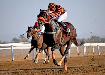 مضمار الرحبة لسباقات الخيل يشتعل حماسًا في ثاني سباقات الموسم