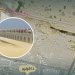 لأهالينا في السيب “بلدية مسقط” تعلن عودة الحركة إلى شارع “دمّا”