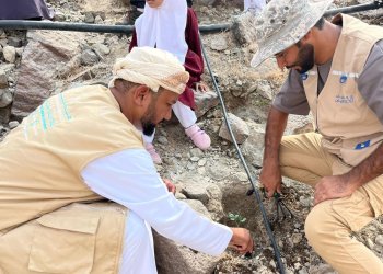 استزراع 1000 شجرة “شوع” بجنوب الباطنة ضمن مبادرة استزراع 10 ملايين شجرة