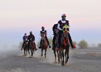 هبوب مسقط يخطف لقب كأس اليوم الوطني للقدرة والتحمل ببركاء