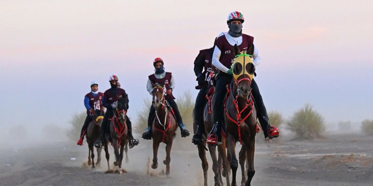 هبوب مسقط يخطف لقب كأس اليوم الوطني للقدرة والتحمل ببركاء