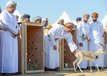 هيئة البيئة تحتفل بيوم البيئة العماني والحصاد البيئي.. الخميس