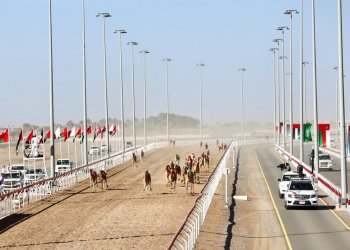 2 فبراير.. انطلاقُ منافسات مهرجان البشائر التّاسع للهجن