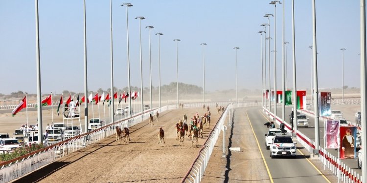 2 فبراير.. انطلاقُ منافسات مهرجان البشائر التّاسع للهجن