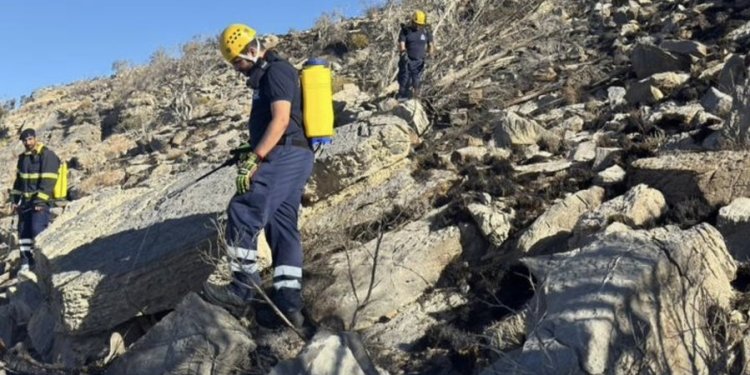 جهود متواصلة لإخماد حريق الحشائش والأشجار في ولاية الحمراء