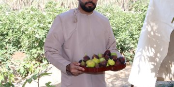 من شغف شخصي إلى مشروع إنتاجي… الكلباني يروي قصة التين في عبري
