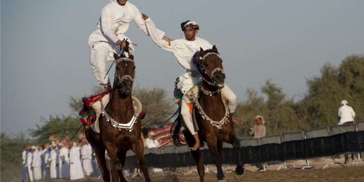 التحوريب.. إيقاع الشعر على صهوة الخيل