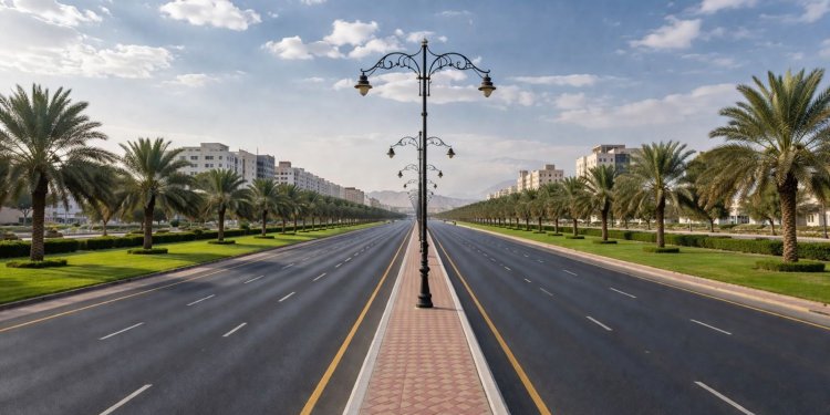 إزالة 1300 نخلة من شارع السلطان قابوس في السيب.. ما القصة؟