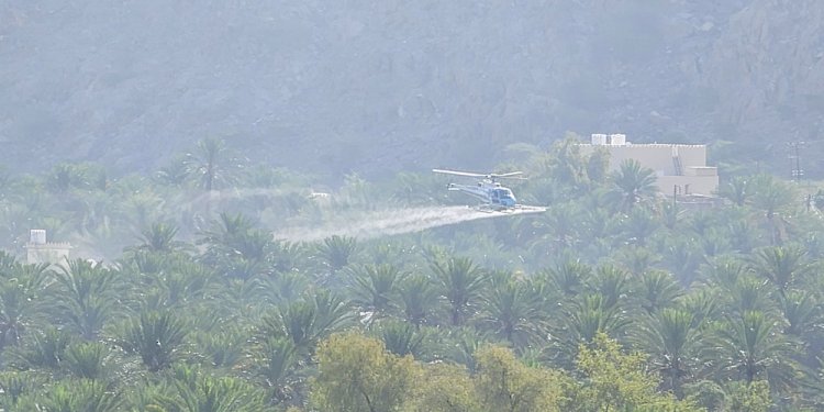 انطلاق حملة الرش الجوي لمكافحة حشرة دوباس النخيل بمحافظة جنوب الباطنة