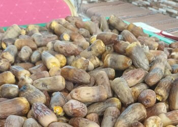 قبل أن تشتريه من السوق .. ماذا تعرف عن «الجريجرو» أو «المحقب»؟