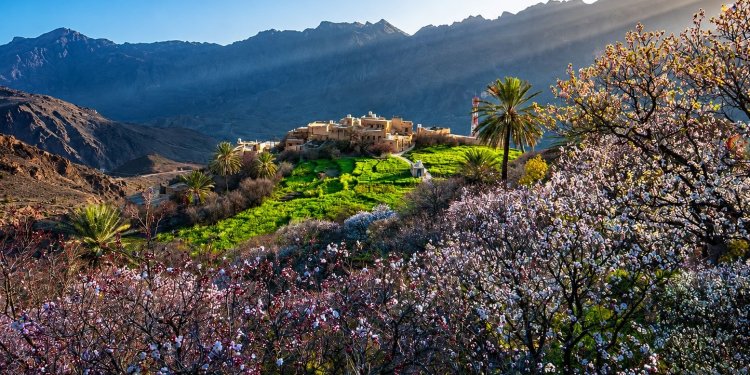 سيصبح الوصول إليها أسهل.. ماذا تعرف عن القرية التي تزهر فيها أشجار المشمش فوق الجبال؟