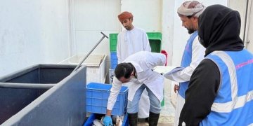 الظاهرة .. إتلاف قرابة نصف طن من الأسماك الفاسدة