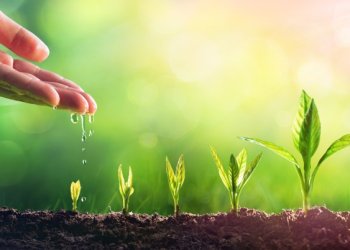 المتطوعون .. صُنّاع الأثر