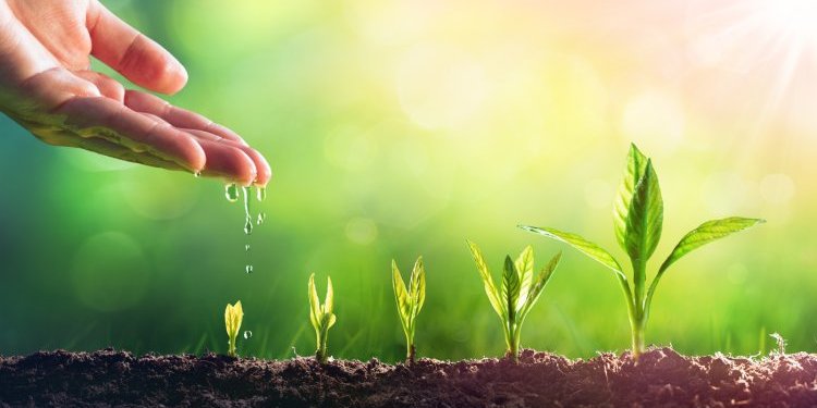 المتطوعون .. صُنّاع الأثر
