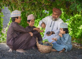يستقطب أكثر من 10 آلاف زائر.. شمال الشرقية تحتفي بالعنب في موسم اقتصادي وزراعي واعد
