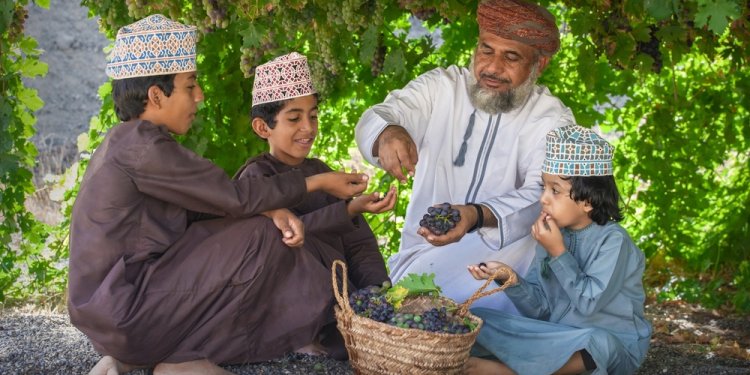 يستقطب أكثر من 10 آلاف زائر.. شمال الشرقية تحتفي بالعنب في موسم اقتصادي وزراعي واعد