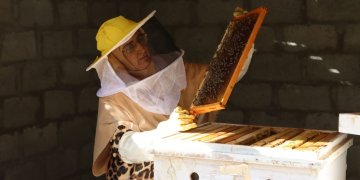 الظاهرة تسجل نمواً قياسياً في إنتاج العسل المحلي