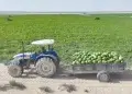 وزارة العمل تعتمد آلية للنقل المؤقت للعمالة الزراعية في منطقة نجد بمحافظة ظفار