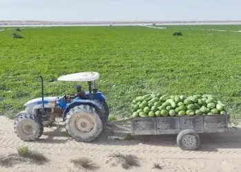 وزارة العمل تعتمد آلية للنقل المؤقت للعمالة الزراعية في منطقة نجد بمحافظة ظفار