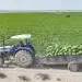 وزارة العمل تعتمد آلية للنقل المؤقت للعمالة الزراعية في منطقة نجد بمحافظة ظفار
