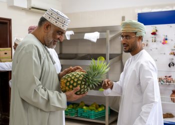 مزرعة “رزات السلطانية” تنجح في إنتاج محصول الأناناس محليًّا