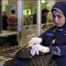 رحلة بلا مخالفات.. تجنب حمل هذه السلع في أمتعتك